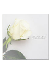 A Beautiful White Ltd. Milky Clear - Colored Vinyl