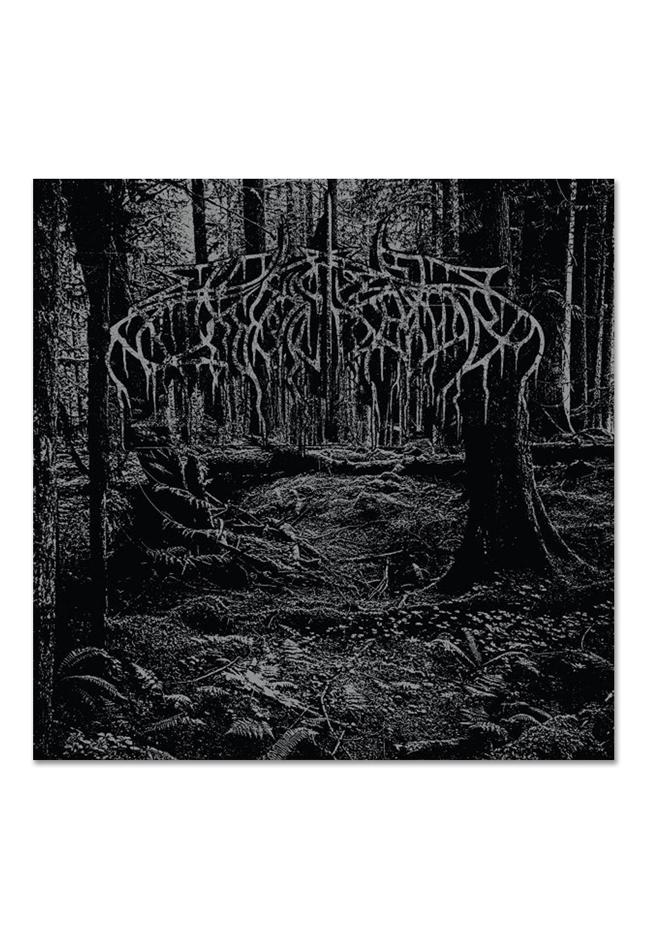 2005 Demo Black Ice - Colored Vinyl