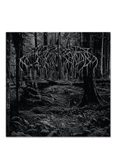 2005 Demo Black Ice - Colored Vinyl